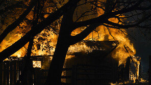 美캘리포니아, 산불로 서울의 6배 불타…캐나다·호주에 도움 요청