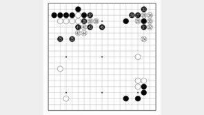 [바둑]중신증권배 세계 AI바둑 오픈 대회… 엷은 백 모양