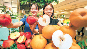 “햇과일 나왔어요”