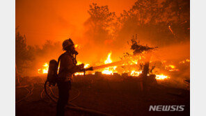 캘리포니아산불 “더 큰것”온다… 소방 긴급방화선 구축