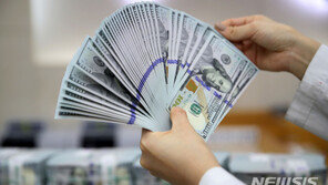 “저금리 시대…적금보다는 테슬라” 외화예금 한 달 만에 역대 최대