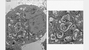 요즘 막 뿌리는 코로나 소독제, ‘가습기살균제 그 성분’ 들었다