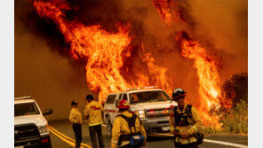 서울 면적 8배 불탄 캘리포니아… 진화율 10~15% 그쳐