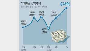 美주식 직구 붐에… 외화예금 ‘역대 최대’
