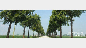 대학 입시의 모든 것, 온라인으로 물어보세요