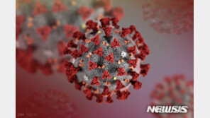 코로나 ‘재감염’ 최초 확인…“백신 한계” vs “병 약하게 앓아”