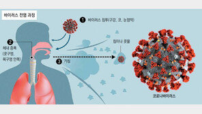 코로나에 감염되면 왜 후각을 잃어버릴까