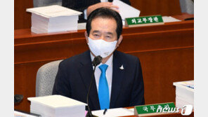 丁 총리 “꼭 필요하면 빚이라도 내야, 그런 상황 오지 않길”