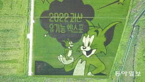 벼로 만든 ‘논 그림’