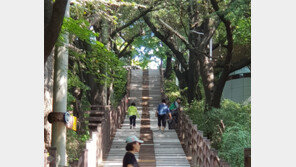 폭염에도 나무 그늘은 시원해∼ 