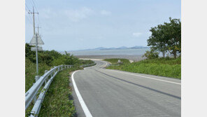 “무안 해송 숲 따라 ‘황홀한 노을’ 감상하세요”