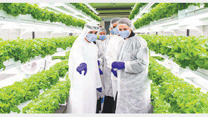 한국형 스마트팜 찾은 UAE 장관