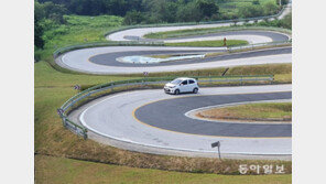 멀리서 보면 희극[고양이 눈]