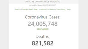 전세계 코로나 확진자 2400만명 넘어서