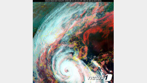 태풍 ‘바비’ 초강력 비바람 예고탄…제주 벌써 100㎜ 폭우