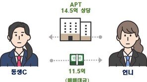 ‘아빠찬스’도 모자라 ‘언니찬스’까지…부동산 세금 탈루 ‘덜미’