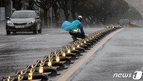 가로수 뽑히고 중앙분리대가 엿가락처럼…“이런 광경 처음”