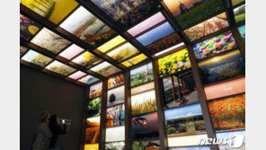 청와대 사랑채 직원도 확진…광복절 광화문 인근 커피숍 체류