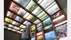 청와대 코앞까지 번진 코로나…사랑채 안내직원 1명 확진