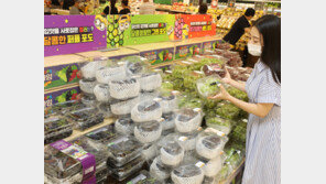 ‘포도빛깔 수채화’ 이마트 포도매장 새단장