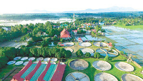 양식장 투자로 월 100만원 수익