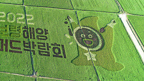‘2022 보령해양머드박람회’ 논 그림 감상하세요