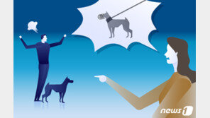 입마개 안한 26kg 풍산개 사람 물어…견주 벌금 200만원