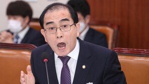北, 전단 살포 금지 반대한 태영호 맹비난…“배신자·인간 쓰레기”