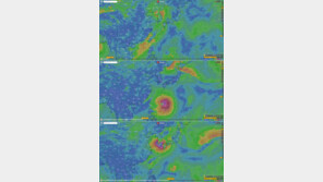 태풍 ‘바비’ 가니 ‘마이삭’ 오나…기상청 “예의 주시”
