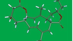 인삼밭 토양층 박테리아에서 알츠하이머 원인 물질 분해 물질 발견