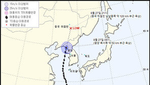 북한 TV, 태풍 ‘바비’ 상황 특보·새벽방송 편성…이례적