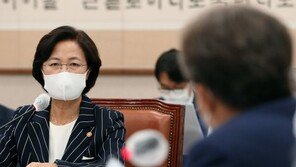 ‘靑선거개입·秋아들 미복귀 의혹사건’ 수사팀장 다바꿨다
