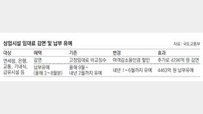 ‘코로나 직격탄’ 항공사에 경영-고용안정 자금 추가 투입