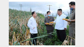 김정은, 태풍 휩쓴 황해남도 시찰…“피해 적어 천만다행”