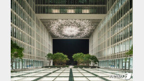 SSG닷컴·컬리·아모레까지…‘도미노’ 셧다운 현실화