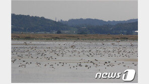 ‘실종신고’ 40대 남성, 안산 시화호서 숨진 채 발견