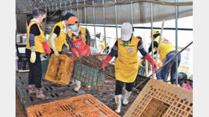 수재민에 7억원 전달… 1만명 봉사 구슬땀