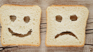 [책의 향기]우리는 ‘가짜 빵’을 먹고 있다