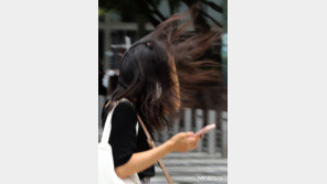 9호 태풍 ‘마이삭’, 대한해협 관통 가능성…“변동성 커”