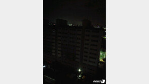 세종시 아파트 변압기 불…490세대 5시간 넘게 정전