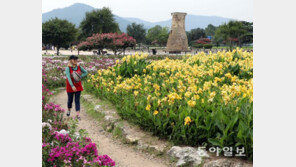 경주 야생화단지 20여 종 활짝
