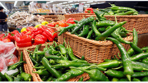 장마와 태풍에… 채소값 급등 