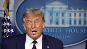 “차남 에릭은 멍청이, 이방카는…” 트럼프 큰누나, 녹취파일 공개