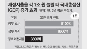 재난지원금 1조 풀때 GDP증가 2000억뿐
