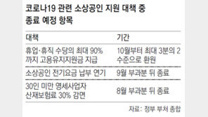 정부, 식당-카페-학원 맞춤 지원 마련할듯