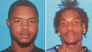 ‘길 너무 천천히 건너서’…美 남성, 총에 맞아 사망