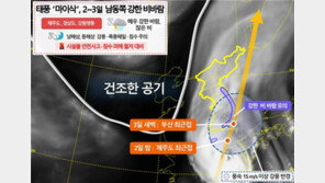 태풍 ‘마이삭’ 3일 새벽 부산 최근접…최대 180㎞ 강풍·400㎜ 물폭탄