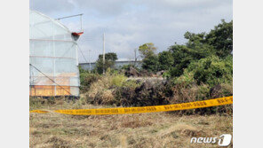 제주 호박밭 여성 변사체에 외상 확인…타살 정황