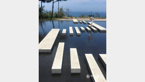 음악을 들려줘[고양이 눈]