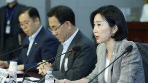 허은아, 정청래 당명 지적에 “17년 전 사용했다고 생떼…옹졸”